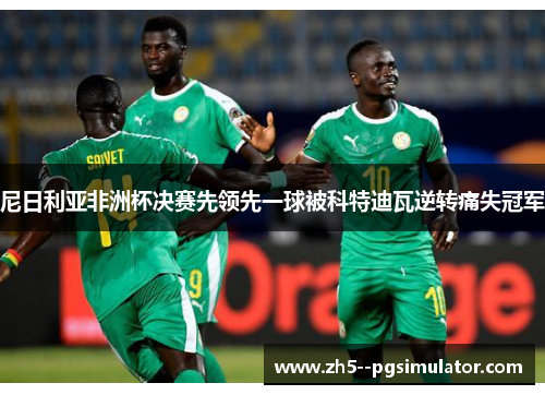 尼日利亚非洲杯决赛先领先一球被科特迪瓦逆转痛失冠军